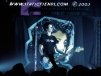 ConeMccaslin 2005 cone_sum41 (64).jpg